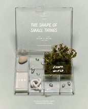 The Knot – Ves x Fawn World x Days of Ever